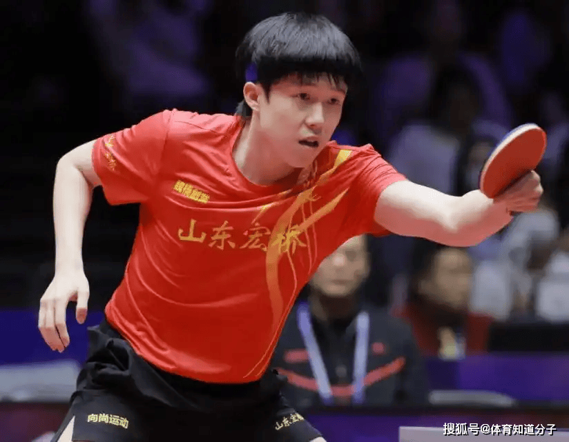 森林狼与活 森林狼与活