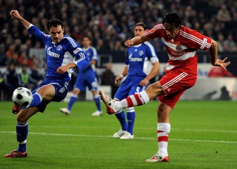 金的关注点 金的关注点