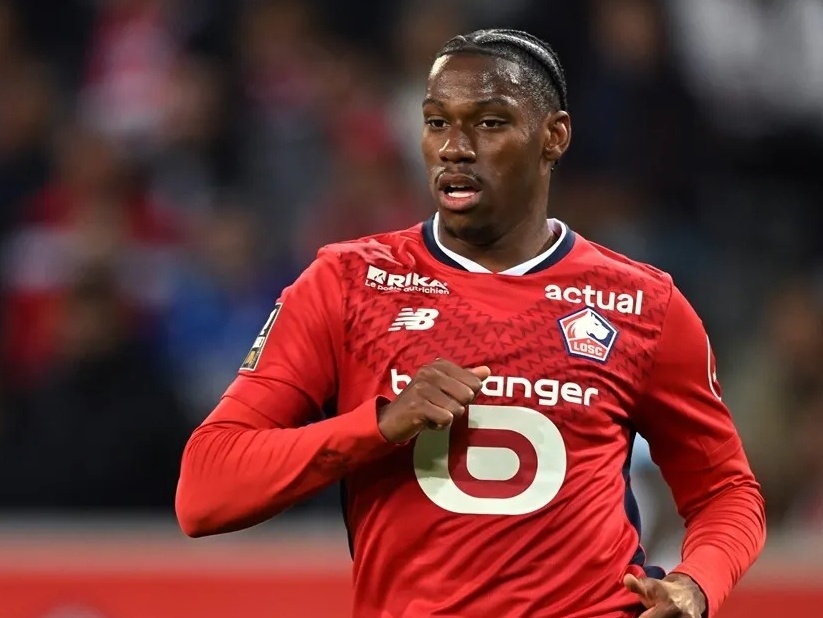 卫因此成为 卫因此成为